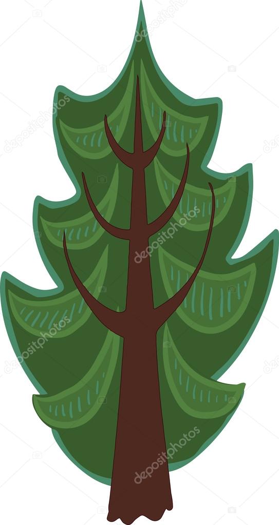 Cartoon conifer Tree. Isolated