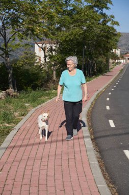 Yaşlı kadın kaldırımda safkan bir köpekle yürüyor.