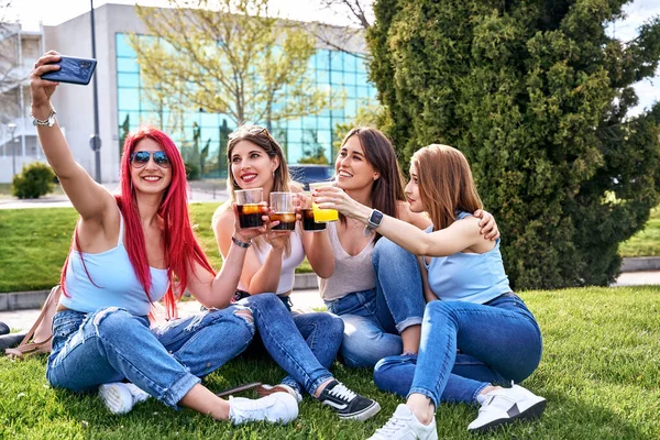 Four friends taking a selfie sitting on the grass in a park while drinking and having fun on a summer day. — Foto de Stock