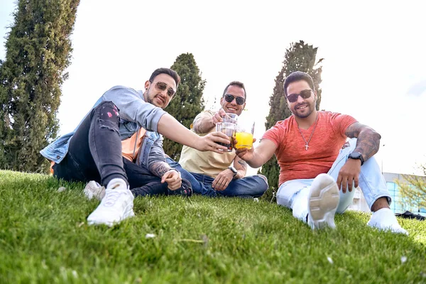 Three friends sitting on the grass, having drinks and toasting while looking at the camera on a sunny day. — Stok Foto
