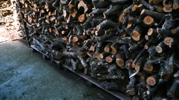 Stos drewna opałowego przycięty do pół metra — Wideo stockowe