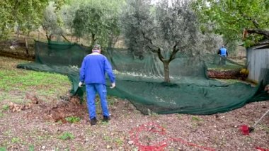işçiler çarşafları düzenlerken