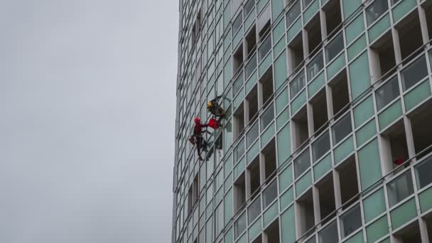 Kötelekkel megkötözött férfiak ablakokat takarítanak egy épületben. — Stock videók