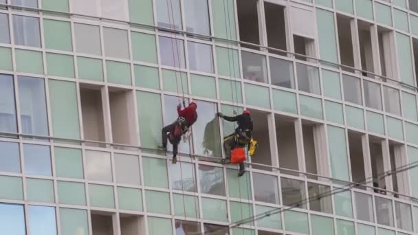 Uomini legati con corde che puliscono finestre in un edificio — Video Stock