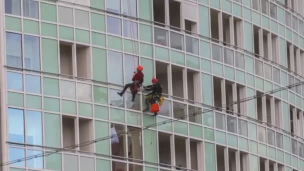 Bir binanın camlarını temizleyen iplerle bağlanmış adamlar. — Stok video