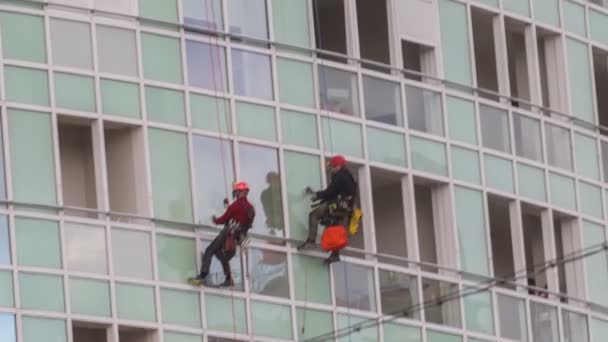 Hommes attachés avec des cordes nettoyer les fenêtres dans un bâtiment — Video