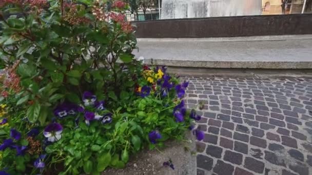 Terni fontän av torget Cornelio Tacito — Stockvideo