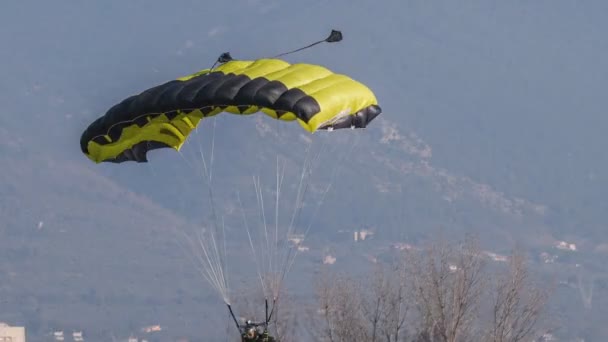 Skydiver in flight landing in the field — Stock Video