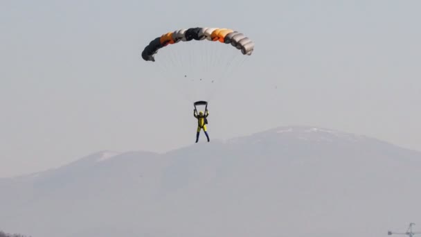 Skydiver in flight landing in the field — Stok video
