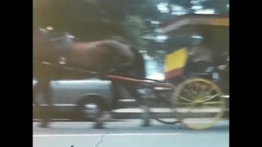 Niagara, Amerika 20 Haziran 1960: Turistleri gezdirmek için atlı Niagara arabası
