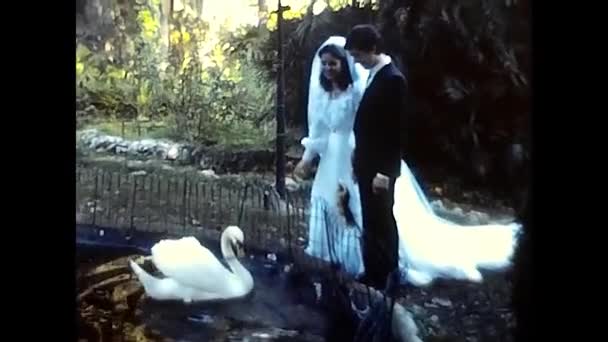 Palerme Italie Novembre 1980 Couple Marié Nourrissant Des Oies Dans — Video