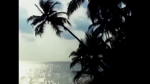 Maledivy Indický Oceán Srpen 1985 Palmy Při Západu Slunce Maledivách — Stock video