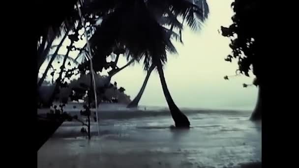 Maldives Indian Ocean August 1985 Tropical Rain Palm Fronds Island — Stock Video
