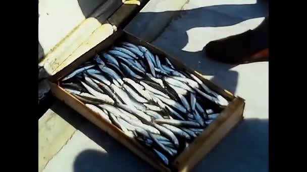 1980年5月17日ピードモント湖で80年代に購入された魚の箱 — ストック動画