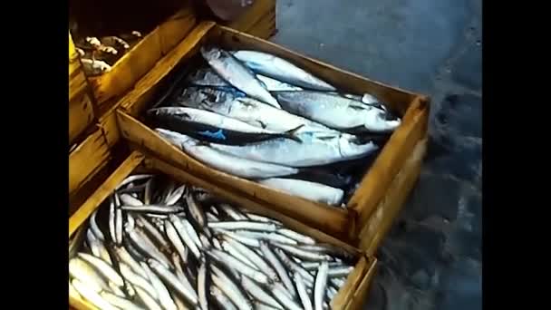 1980年5月17日ピードモント湖で80年代に購入された魚の箱 — ストック動画