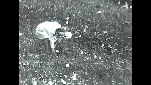 Milan Italia Mayo 1960 Gente Pasa Momentos Felices Las Montañas — Vídeo de stock