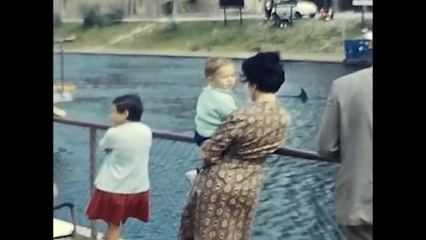 Forli Italia Mayo 1960 Atracción Delfines Delfinario Década 1960 — Vídeos de Stock