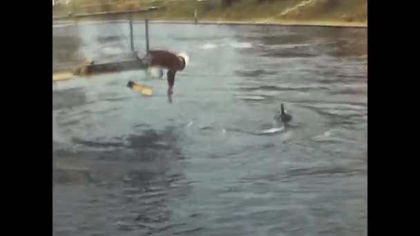 意大利福里 1960年6月28日 1960年代海豚馆的海豚吸引 — 图库视频影像