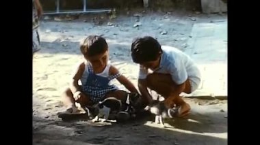 forli, İtalya 10 Haziran 1960: Çocuklar 60 'lı yılların bahçesinde yavru kedilerle oynuyorlar