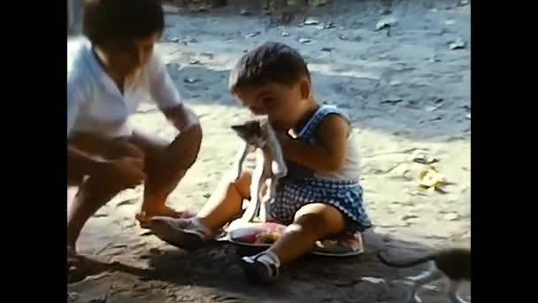 Forli Giugno 1960 Bambini Giocano Con Gattini Giardino Anni — Video Stock
