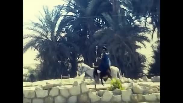 Luxor Ägypten Februar 1980 Eine Ländliche Szene Eines Mannes Auf — Stockvideo