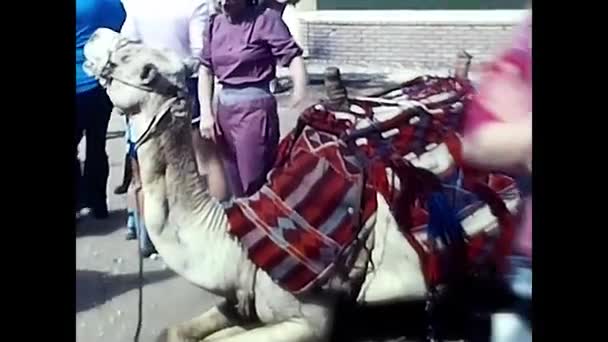 Λούξορ Αίγυπτος Φεβρουαρίου 1980 Βεδουίνοι Καμήλα Στην Αίγυπτο — Αρχείο Βίντεο