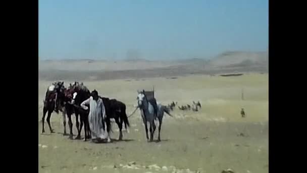 Luxor Egito Fevereiro 1980 Beduínos Com Camelo Egypt — Vídeo de Stock