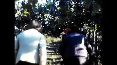 Novara, İtalya 18 Eylül 1970: 70 'lerde kadınlar üzüm hasadı sırasında üzüm toplar