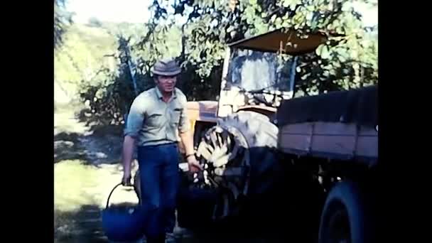 Novara Ιταλία Νοεμβρίου 1970 Άνθρωπος Που Εργάζεται Στο Vendemmi Αντίθετα — Αρχείο Βίντεο