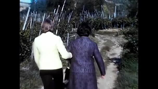 Novara Talya Eylül 1970 Lerde Hasat Döneminde Üzüm Bağları Arasında — Stok video