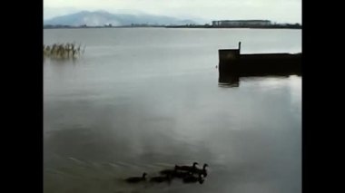 Ligutia İtalya 19 Mayıs 1970: Liguria 'da denizden Porto Venere' e manzara 70