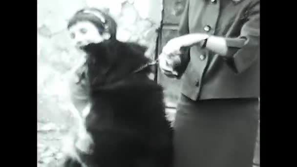 Valle Aosta Italy June 1950 Little Girl Dog Cuddling 50S — стоковое видео
