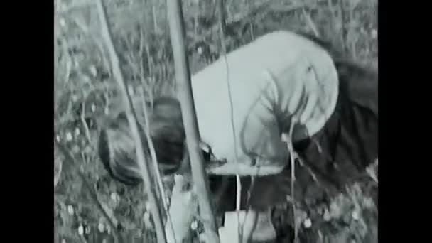 Valle Aosta Italy June 1950 Little Girl Picks Flowers Mountains — Stockvideo