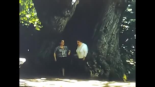 1960年5月18日 1960年代以来在一棵古树下生活的人 — 图库视频影像