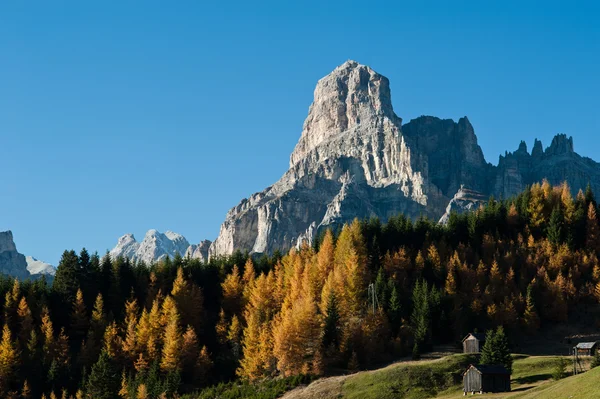 Sassongher with autumn forest — Stock Photo, Image