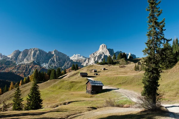 Vista da Pralongia a Sassongher e Sella — Foto Stock