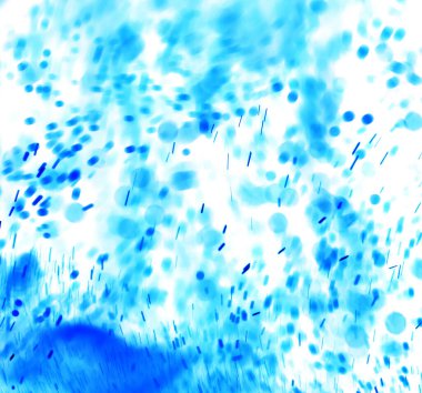 Beyaz zemin üzerine mavi lekeler