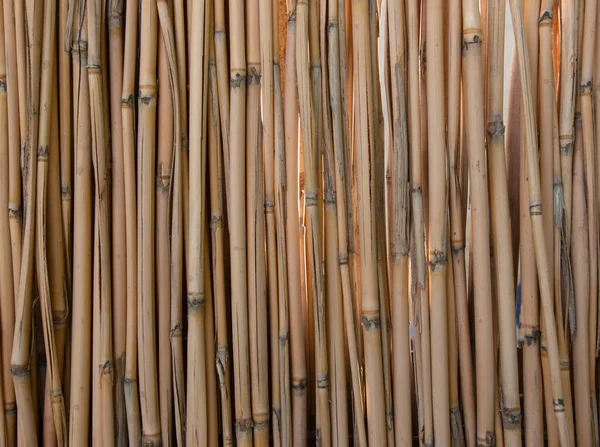 Bâtons Bambou Comme Fond — Photo