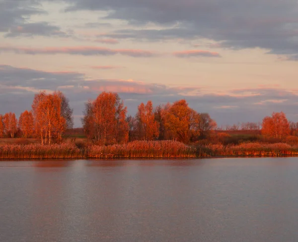 Paysage Automne Avec Arbres Rivière — Photo