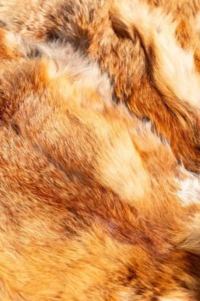 Φυσικό Τζίντζερ Υλικό Γούνα Ζώου — Φωτογραφία Αρχείου