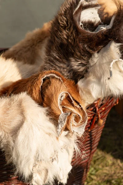 Buntes Tierfell Für Kleidung — Stockfoto