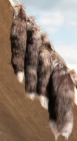 服のためのカラフルな動物の毛皮 — ストック写真