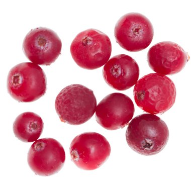 beyaz zemin üzerine taze kızılcık