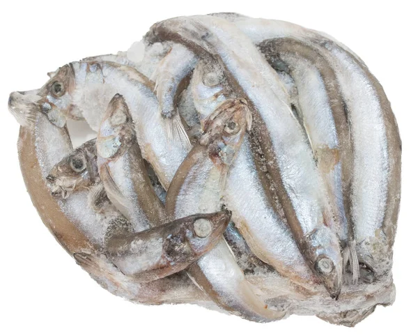 Fresh Fish Capelin White Background — Stock Photo, Image