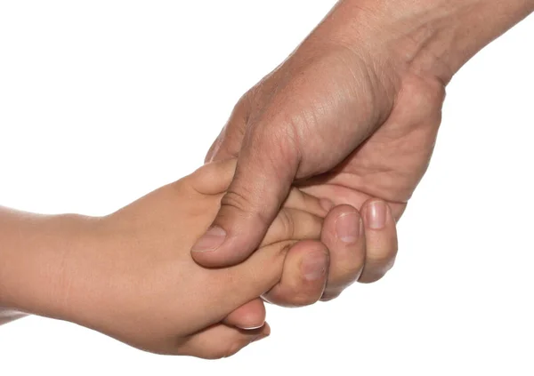 Mão Uma Criança Pai Fundo Branco — Fotografia de Stock