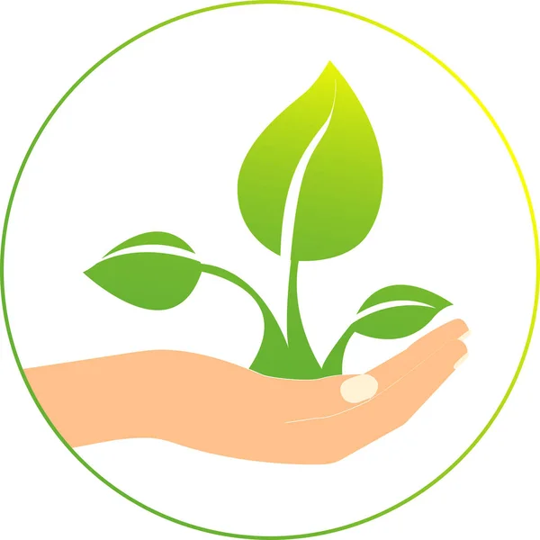 Illustration Green Plant Hands Environment Day Concept Stok Vektor Bebas Royalti
