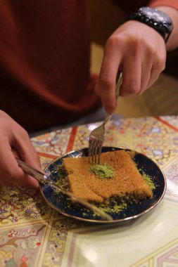 Geleneksel hindistancevizli tatlı baklavası. Ev yapımı fındıklı ve ballı baklava..