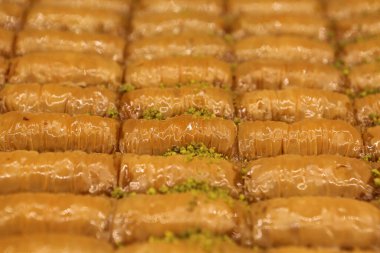 Geleneksel hindistancevizli tatlı baklavası. Ev yapımı fındıklı ve ballı baklava..