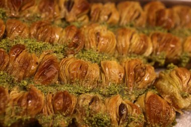 Geleneksel hindistancevizli tatlı baklavası. Ev yapımı fındıklı ve ballı baklava..
