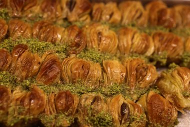 Geleneksel hindistancevizli tatlı baklavası. Ev yapımı fındıklı ve ballı baklava..